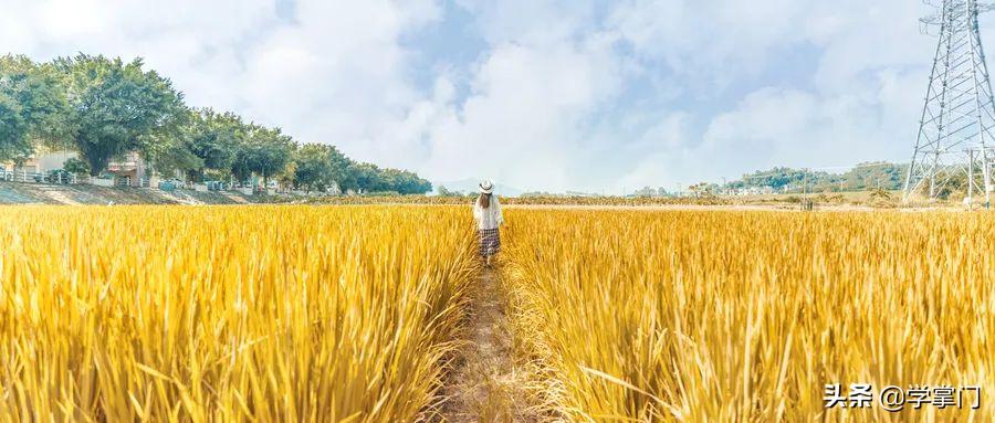 均薪过8K!2022年毕业季就业大数据出炉！IT技术岗成主流选择