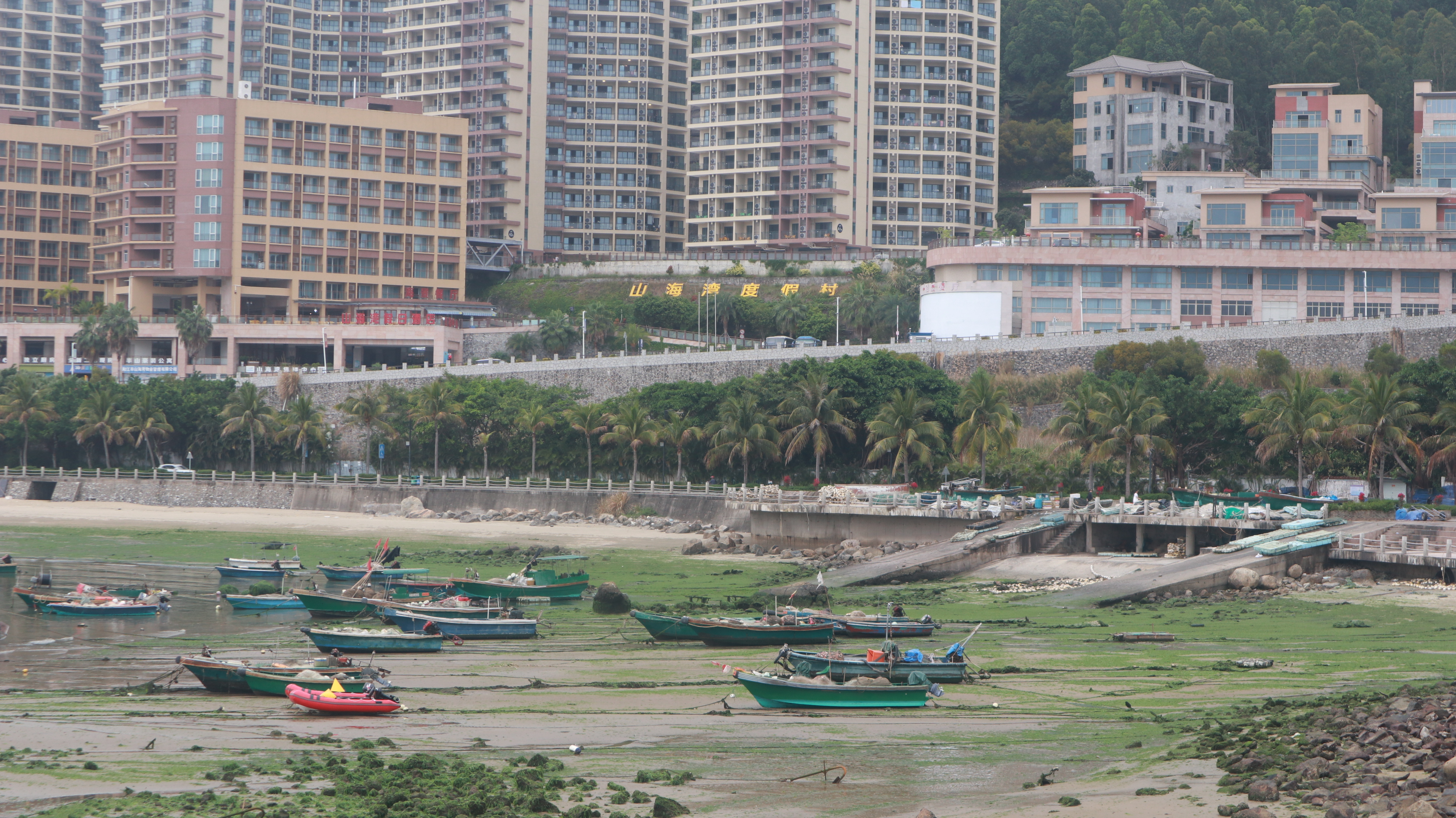 海鲜最新保鲜技术,保鲜海鲜的正确方式和技巧