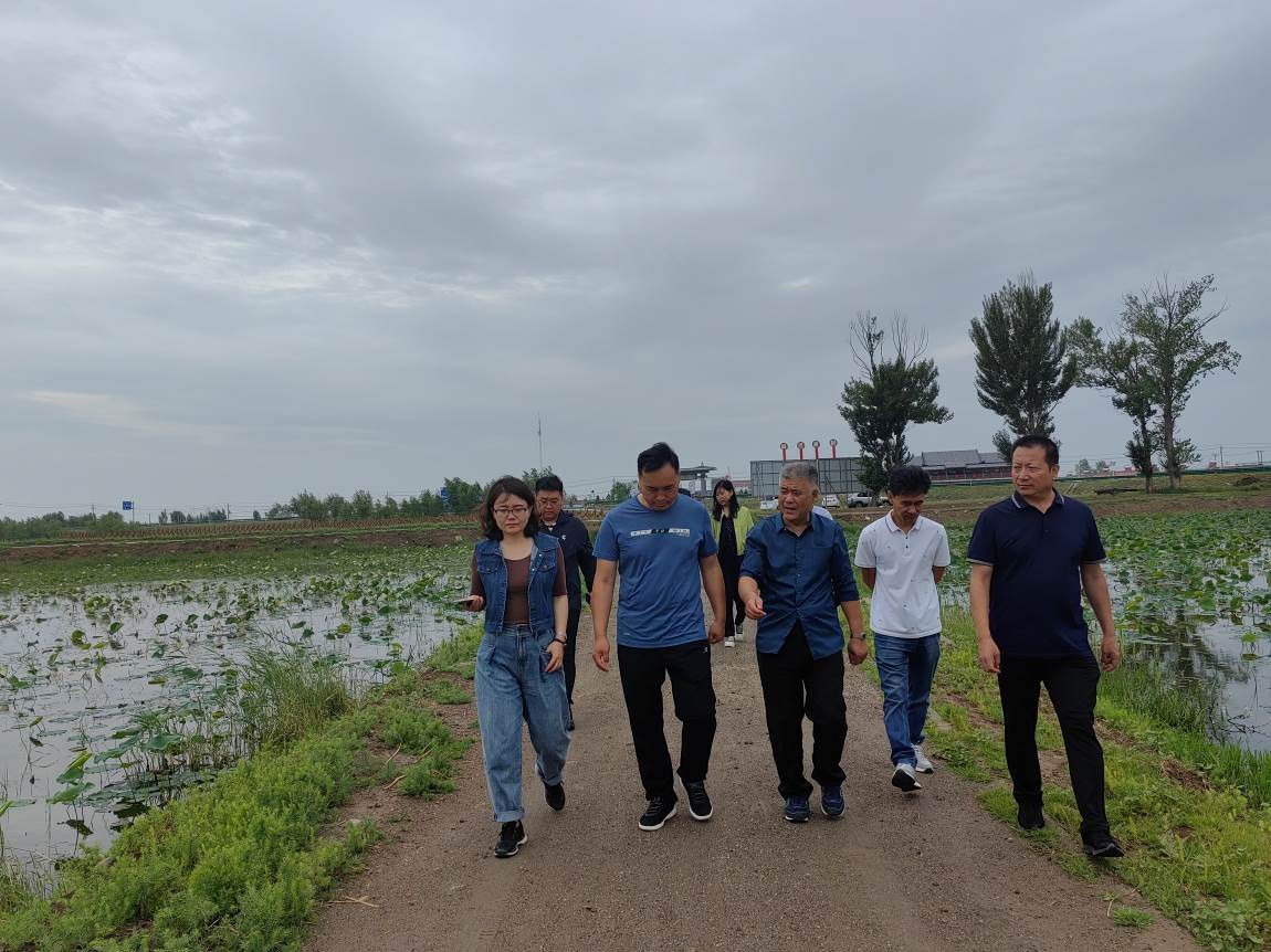 龙头企业带动乡村振兴总结,龙头企业农业产业园