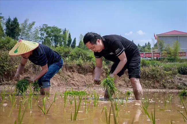一户一块田补贴费用怎么分配,一户一田收回吗