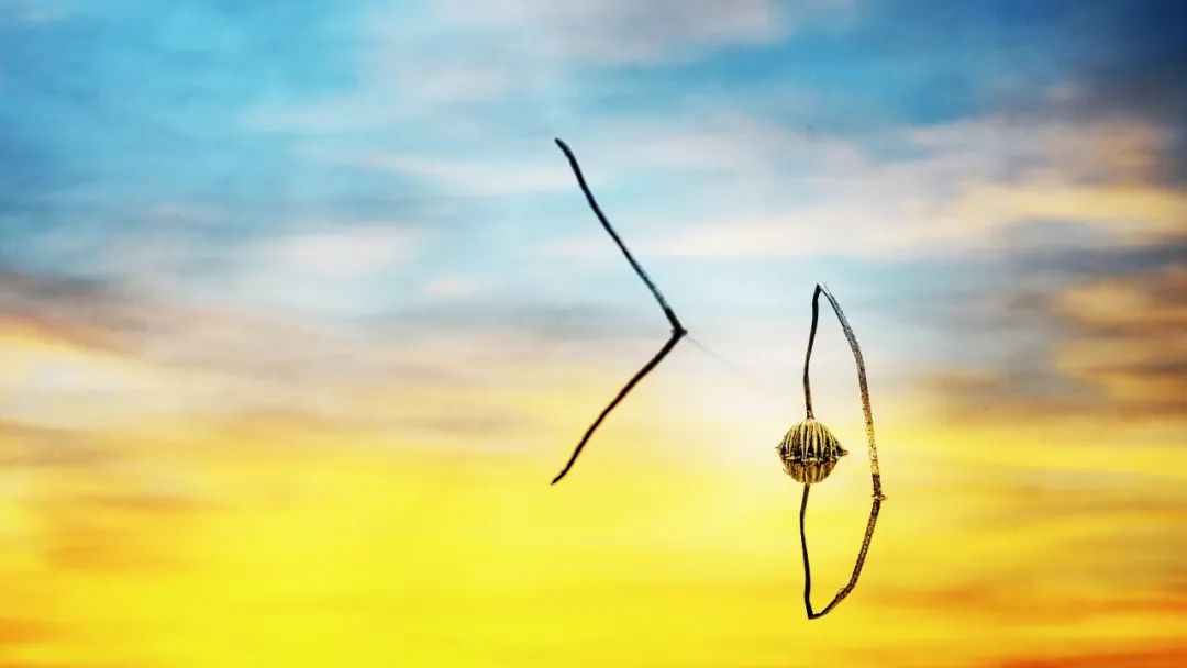 含有秋字的古诗100首飞花令,带秋字的诗句飞花令100句