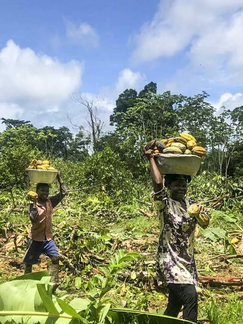 在非洲挖野黄金的中国人：矿工日记（一）