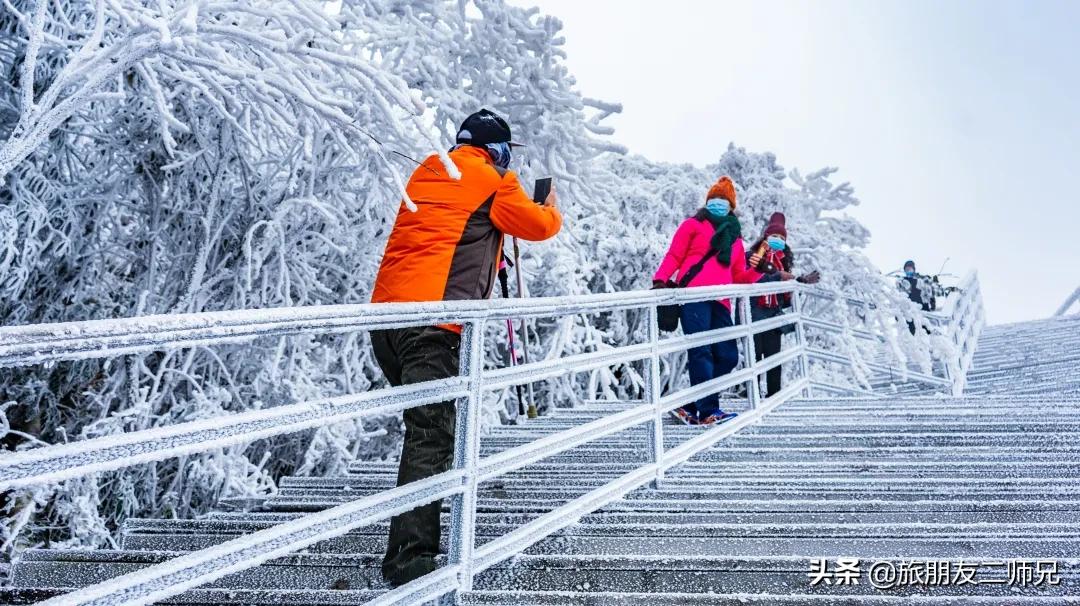 清远金子山旅游攻略看雾凇,广东金子山雪景旅游攻略
