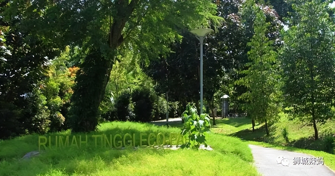 新加坡遛娃免费景点推荐一下,新加坡周末遛娃