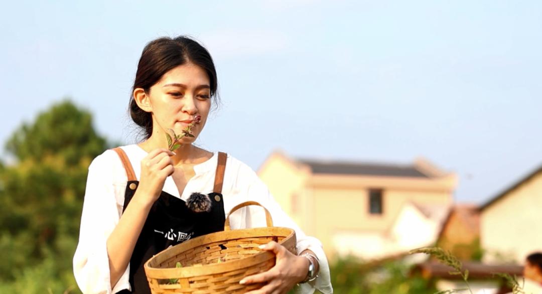 把一颗种子种在树上,把一颗种子种到地里面