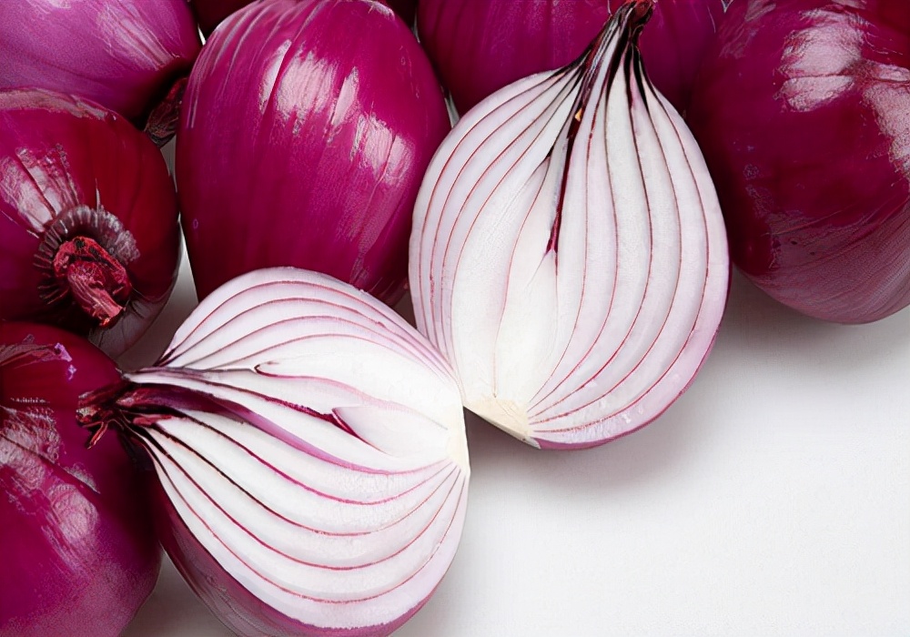 养狗小常识狗狗吐血了怎么办,小狗狗尿的白沫怎么回事