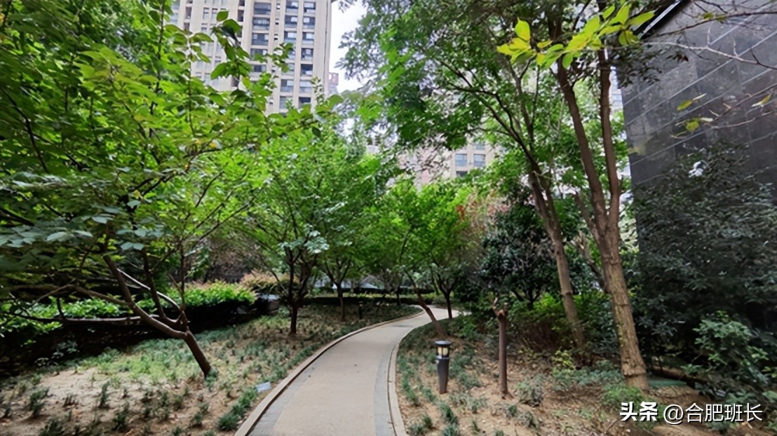 中环云邸最新楼盘,中环云邸楼盘