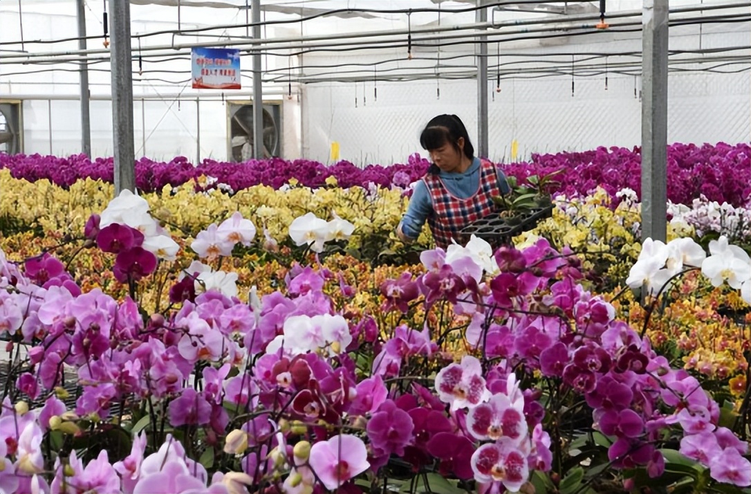 农业“碳”赛道：3大创业方向；盒马：发力鲜食预制菜