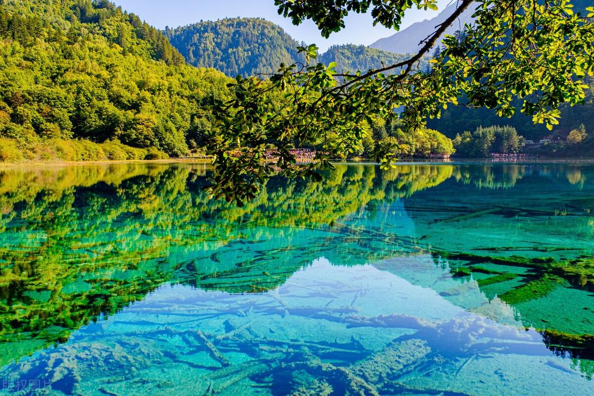 成都旅游攻略五天自由行多少钱,四川成都旅游攻略五日游多少钱