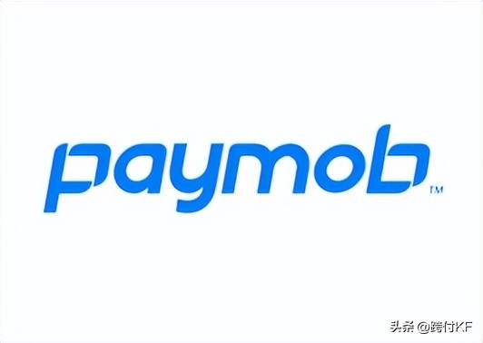 埃及货币最新政策,埃及支付方式