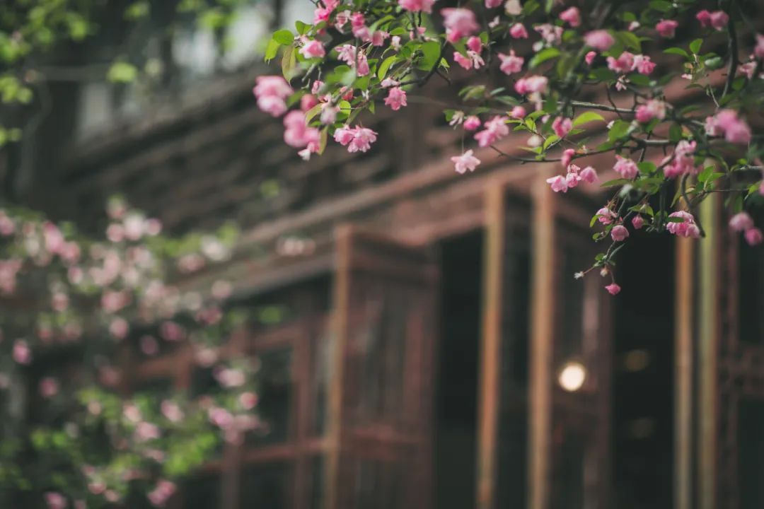 江南最美的城市,江南最好的风景城市