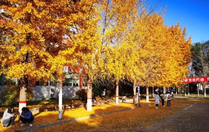 邢台学院超乎你想象：硬件实力很一般，培养*干高**却很强