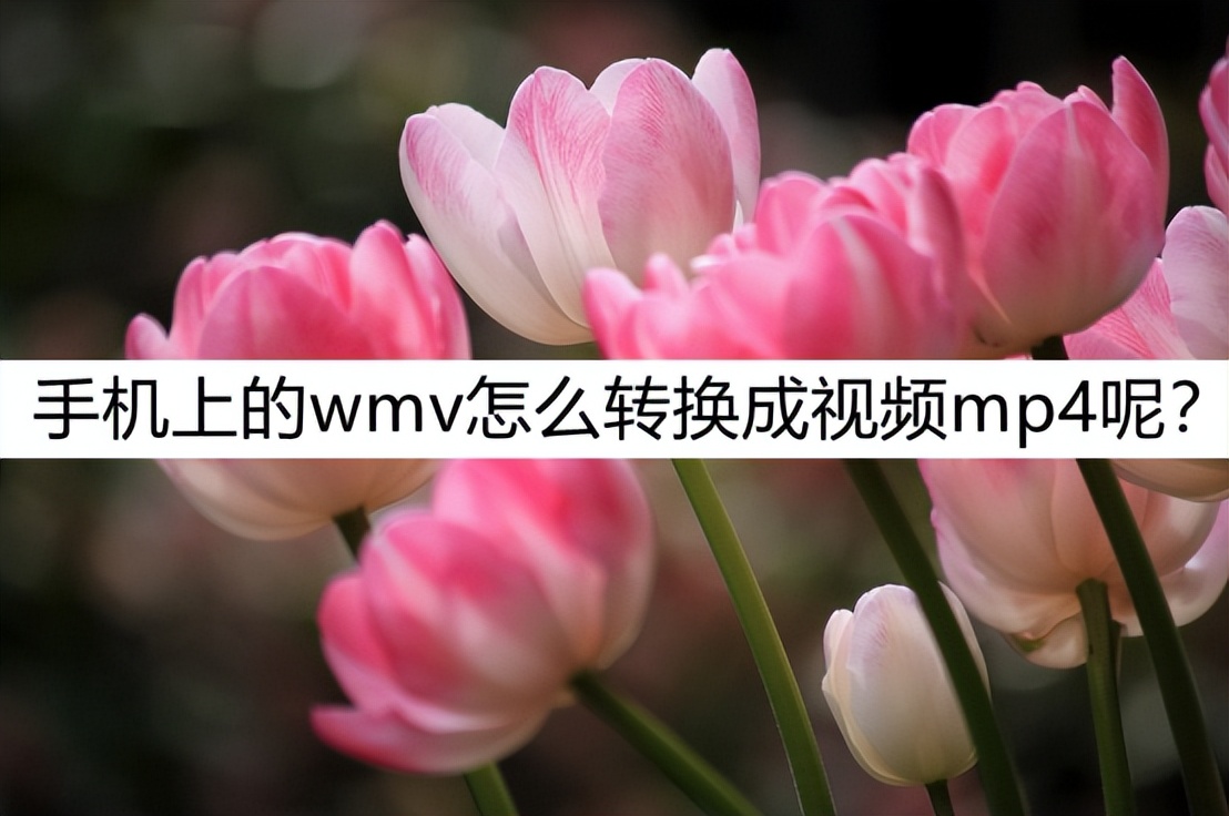 手机app可以将mp4转换成wmv吗,手机wmv如何转换成mp4