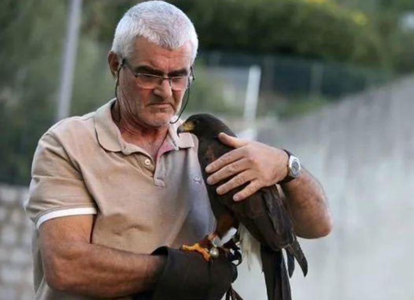 1890年美国放生了60只鸟，如今却每年损失10亿美元，人民苦不堪言