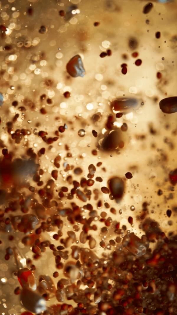 水井坊1号菌群,水井坊一号