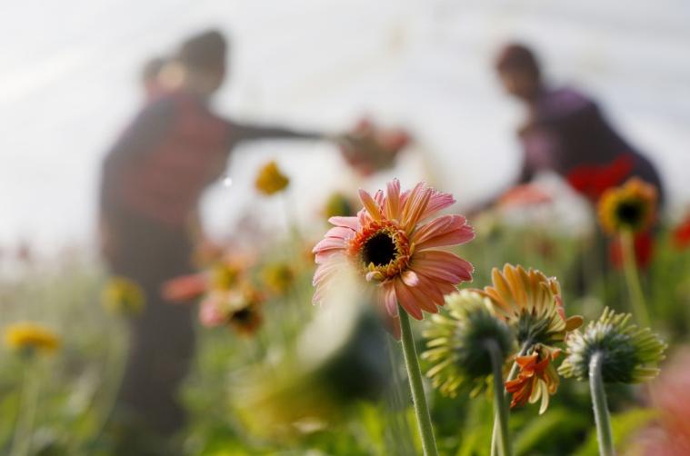 二婚女找头婚男离婚的可能性大吗,女人离婚了是找一婚还是二婚的好