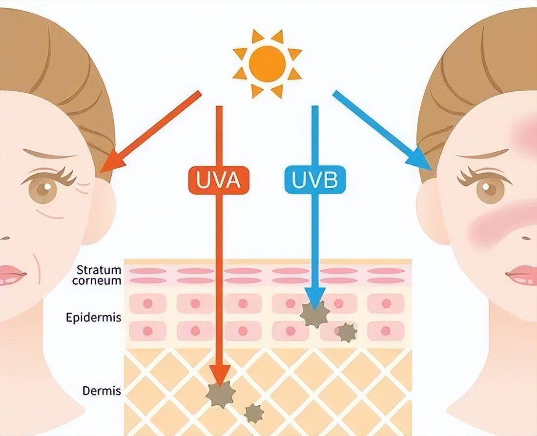 抗氧成分防晒,抗氧的防晒成分有哪些