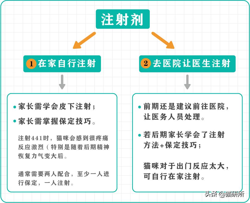 猫咪传腹治疗大概需要多少钱,猫咪疑似猫传腹但是饮食正常