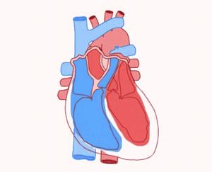 心率多少算正常心率快有什么危害,心率正常范围是多少随着年龄变化