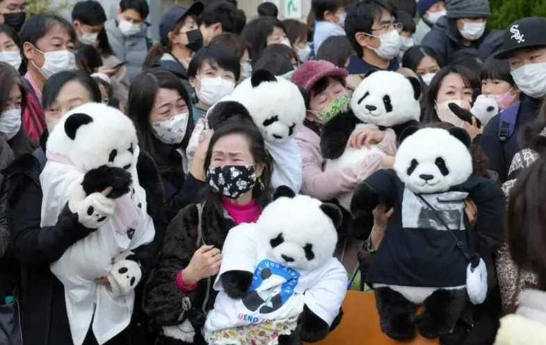 大熊猫为什么不跟爸爸生活,大熊猫为什么只照顾一个孩子