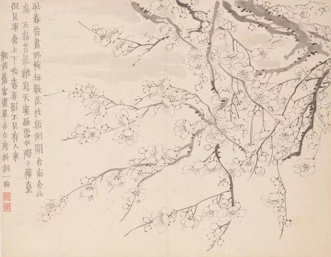 清代九大名家花鸟册页欣赏,清朝九大名家花鸟山水图