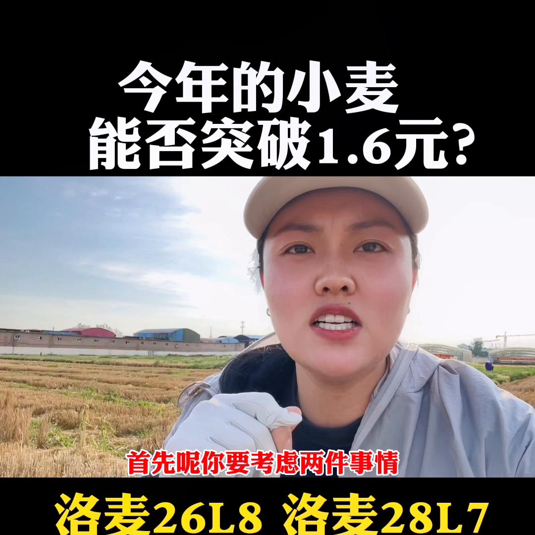 2019黄淮玉米高产品种,高产小麦玉米品种前十名