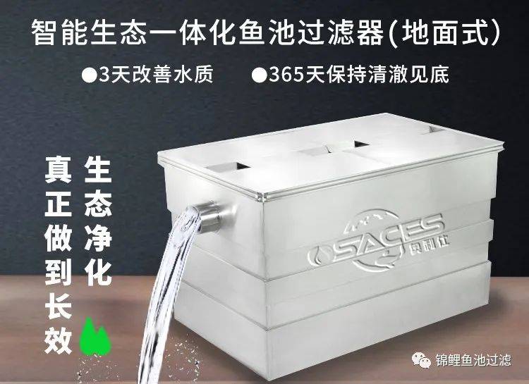 锦鲤鱼池下过滤池底粪便如何清除,锦鲤鱼池过滤仓用什么做盖子好