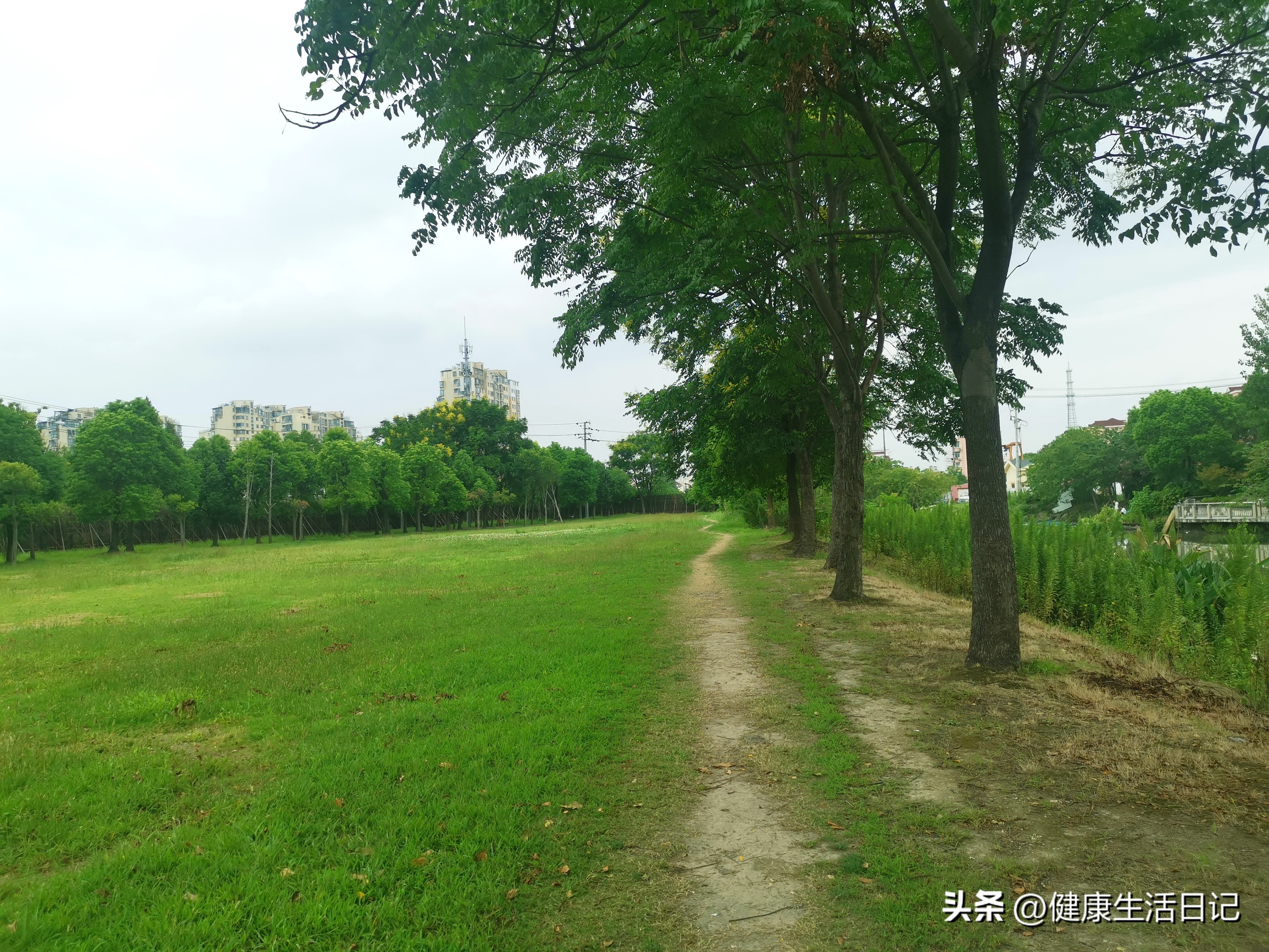 上海三林的公园,上海浦东三林公园在哪里