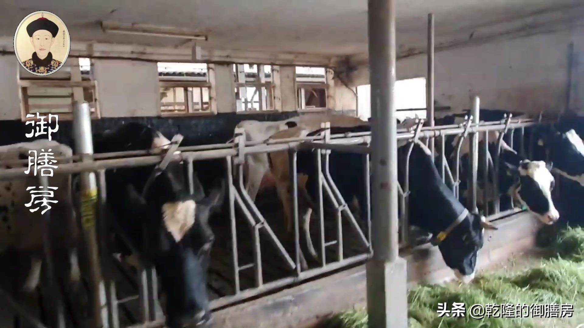 全世界牛奶品牌排名,全球最大的牛奶出口国