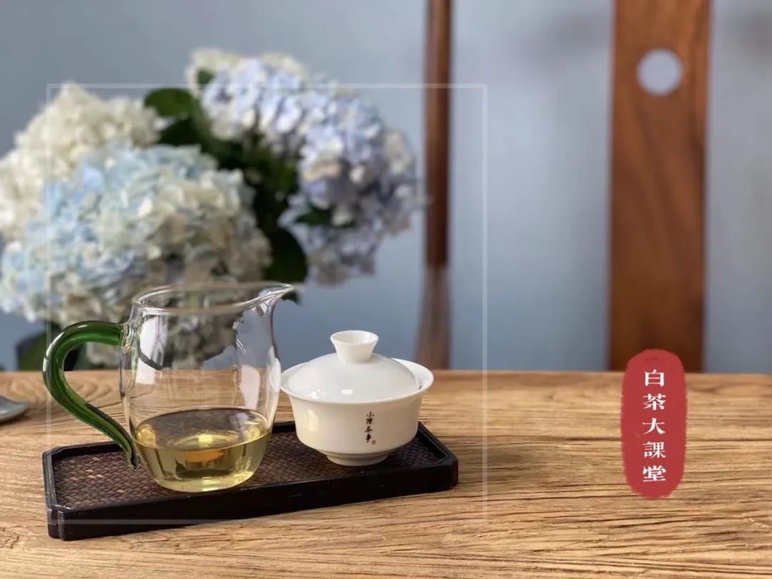 白茶是绿茶为什么叫白茶呢,白茶绿茶红茶青茶是怎么划分的