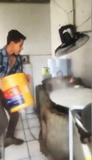 “老鼠贴粘到的，吃了不会犯法吧？”网友：争取死缓吧！哈哈哈