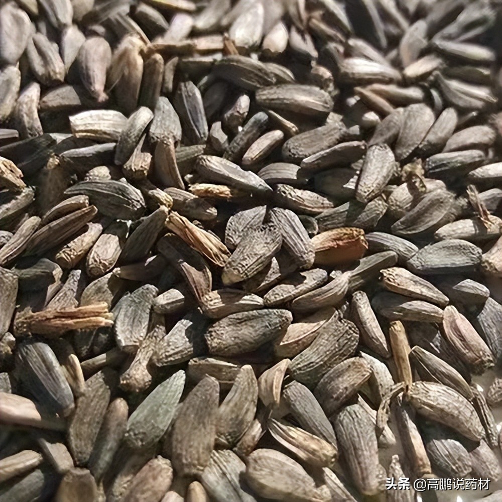 高鹏说药材:2022年*疆新**中药材种植形势分析