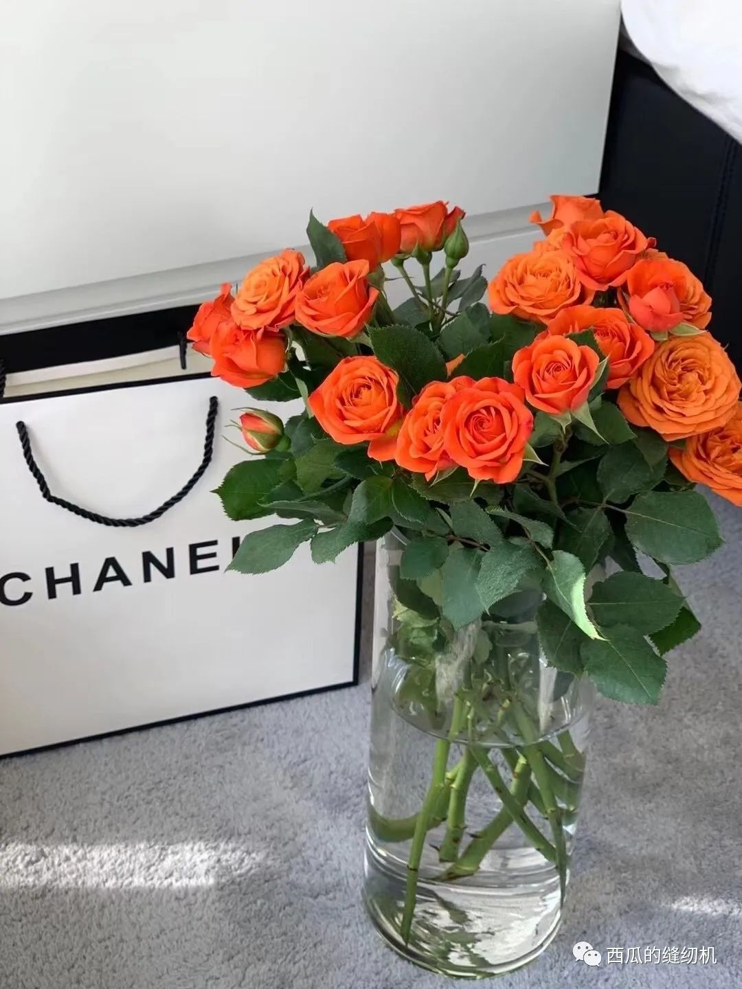 2020年变强计划,2023年以后变富的方法