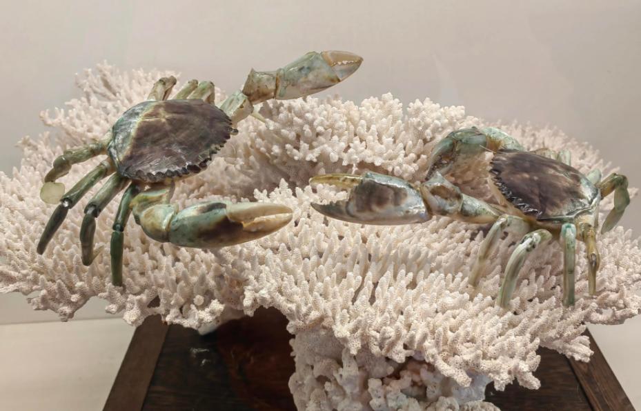 传技·守艺——探析贝雕艺术特征及美学价值论文