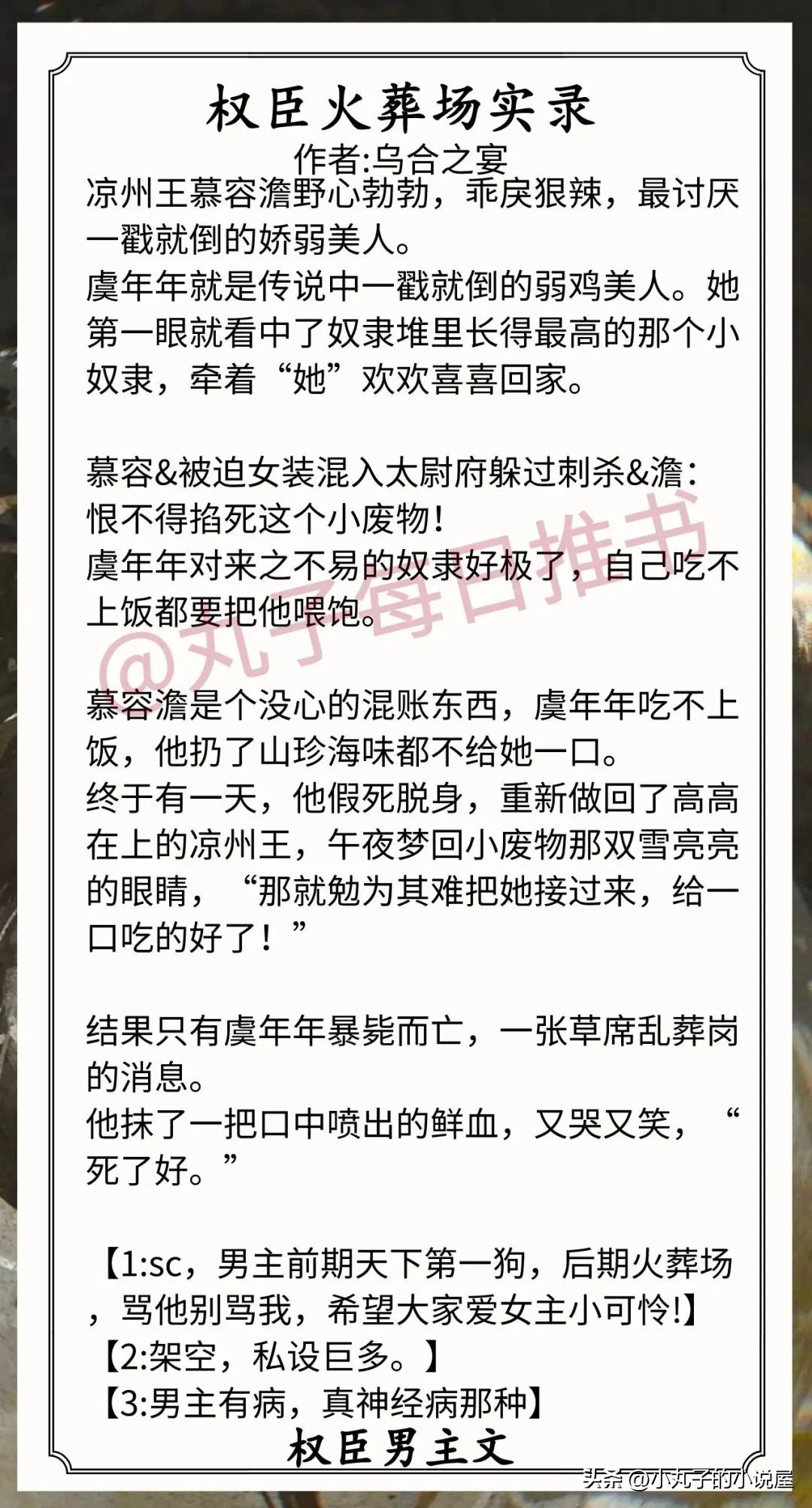 权臣男主文推荐,小说推荐权臣男主