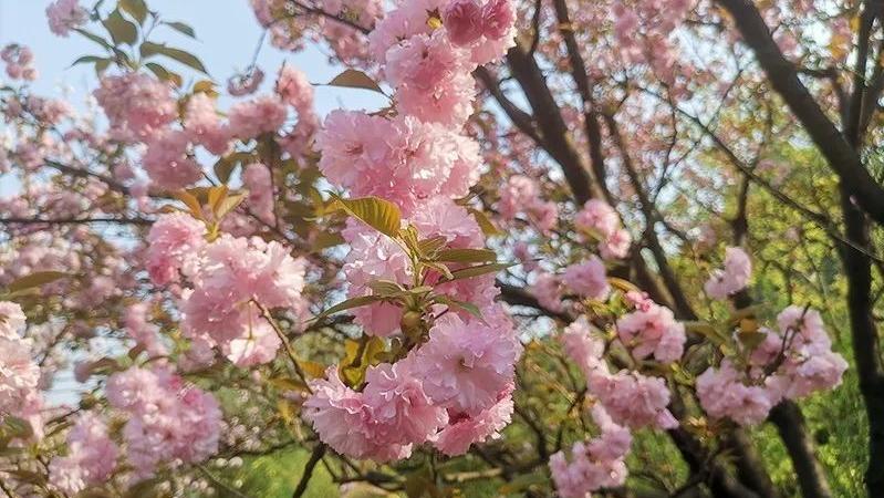 为什么兴义离贵阳那么远,兴义没有好玩的景点