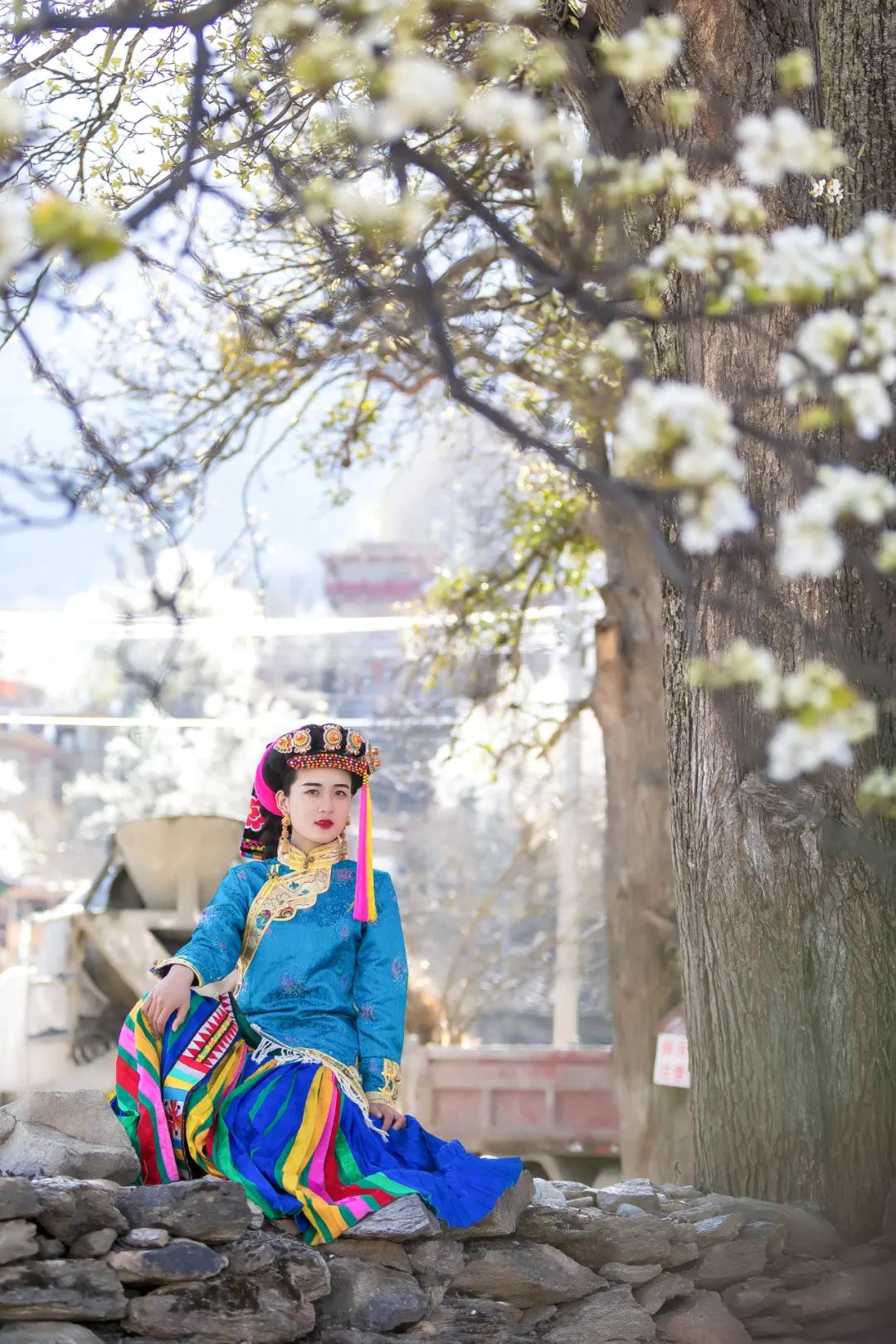 林芝花期预测,林芝桃花最佳观赏时间气温