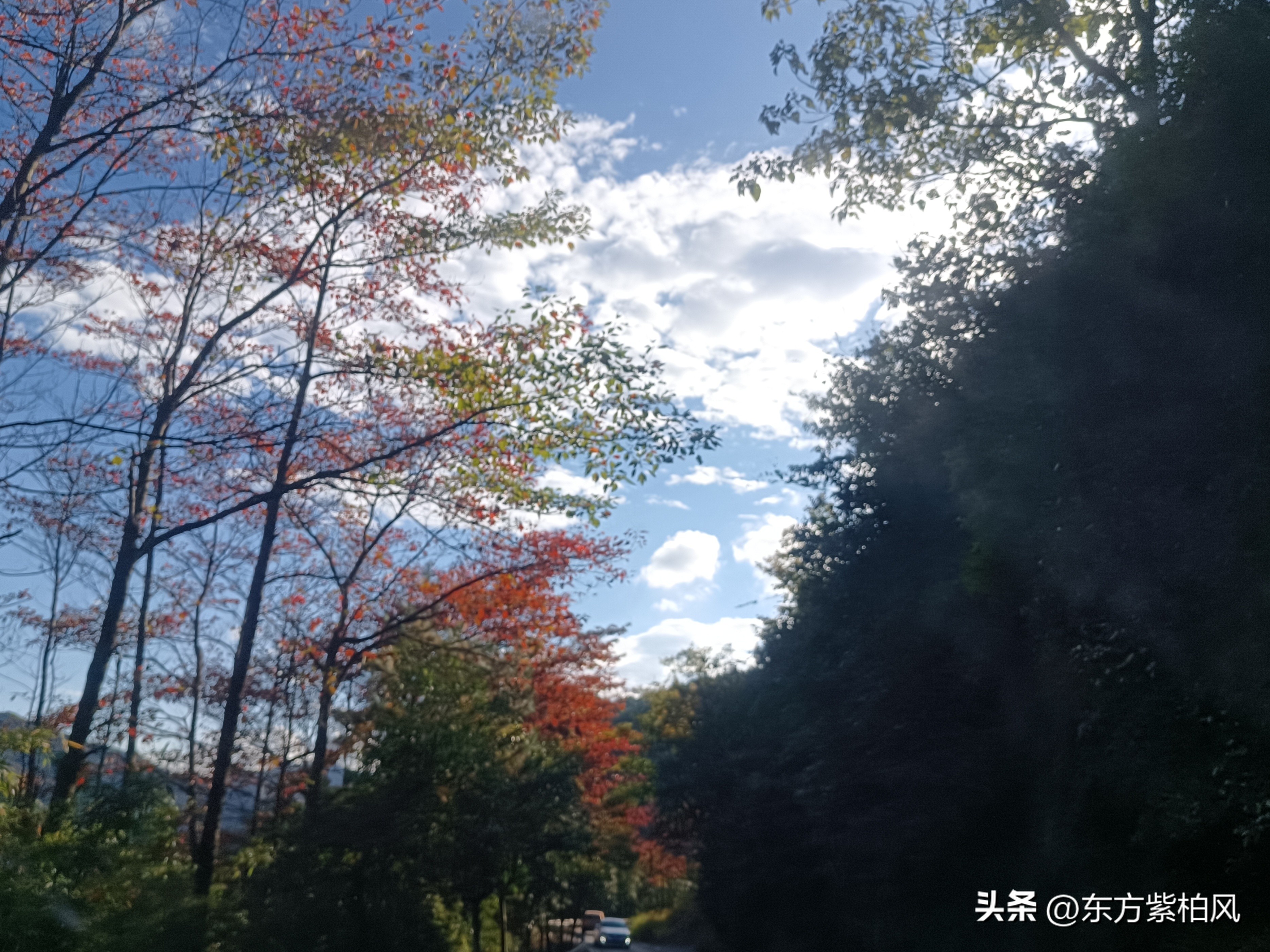 义乌大寒尖春季旅游,义乌大寒尖旅游饮食