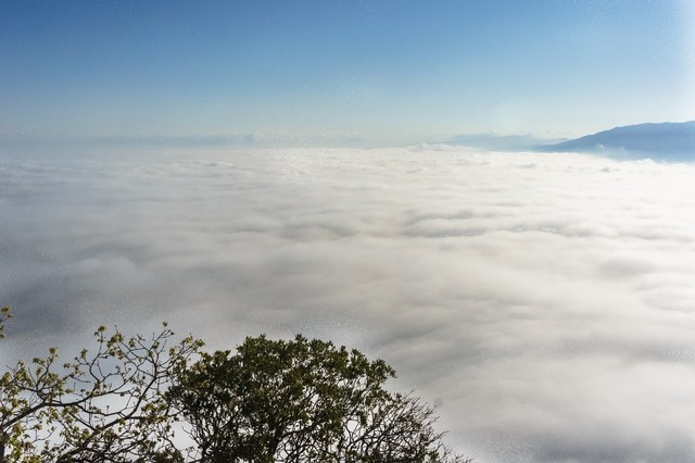 结婚10年了后悔吗,婚姻一开始选错注定痛苦的句子