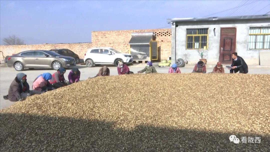 六中全会精神微宣讲,六中全会精神宣讲