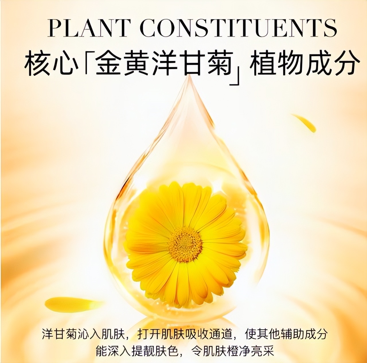 女人买护肤品选哪个,女人应该买护肤品吗