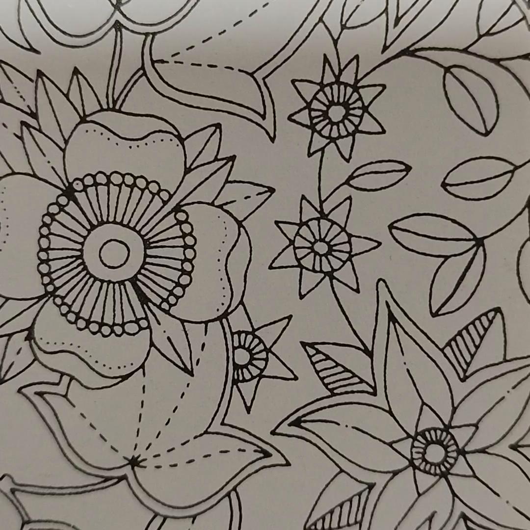 快嘴二婶#正能量分享