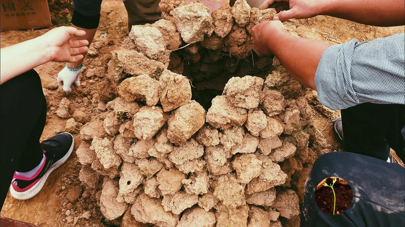 逃离都市，来场“造窑烩鸡”