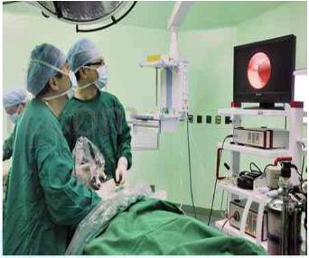 爱耳小知识,爱耳日科普