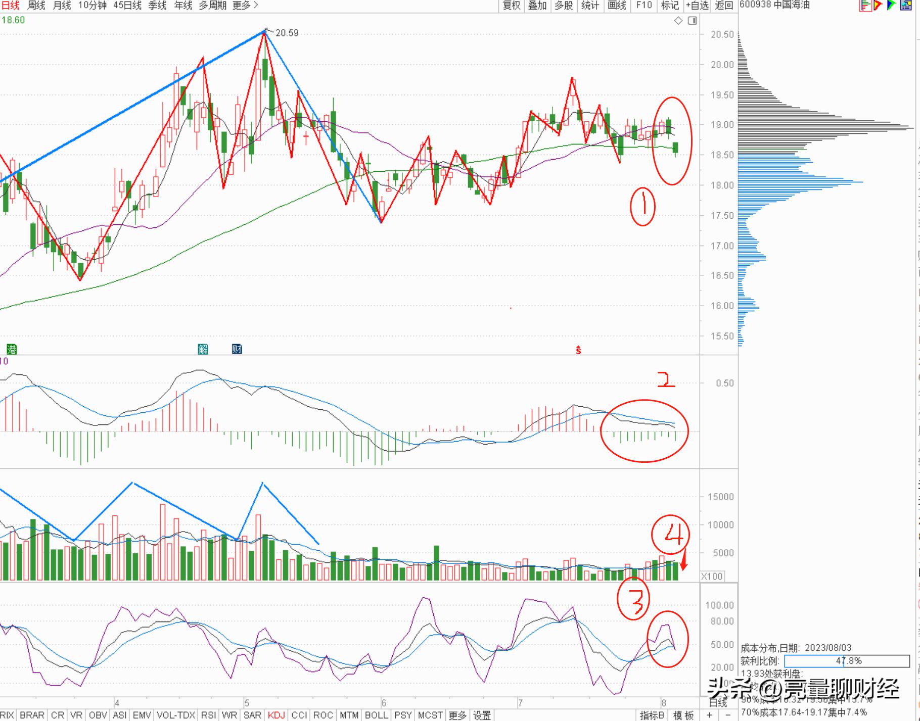 中国海油买入逻辑,中国海油股票600938分红