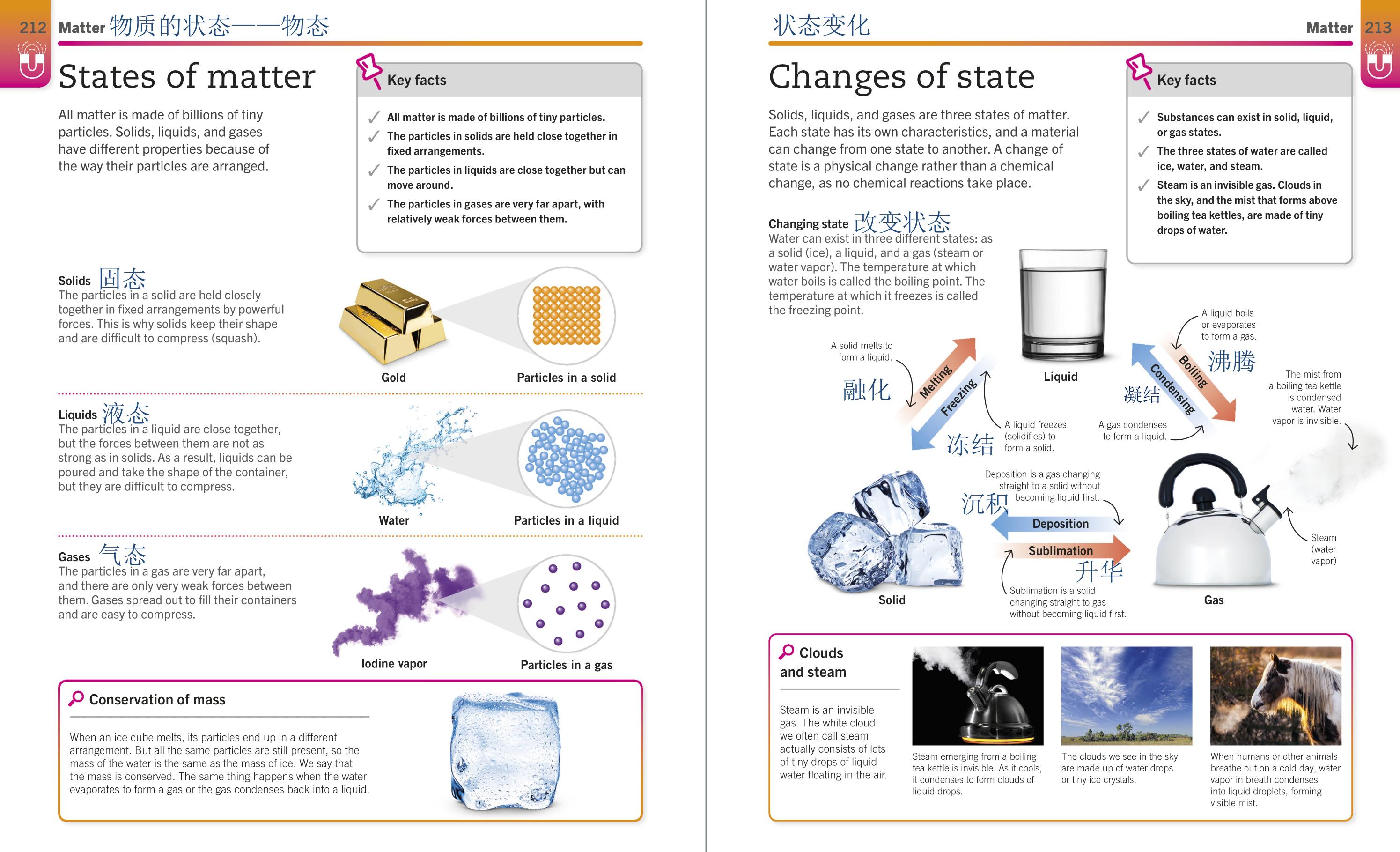 中国小孩学国外语言,中国小孩学英语特别厉害