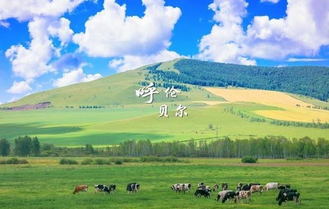 到呼伦贝尔草原玩三天两夜攻略,呼伦贝尔旅游攻略大全集