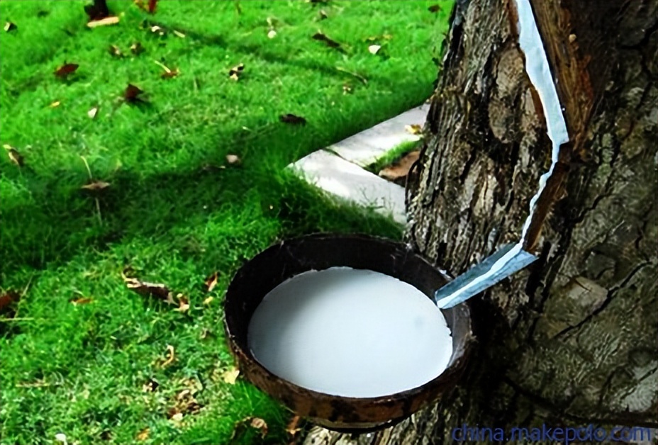 2023床垫推荐,2022年推荐床垫