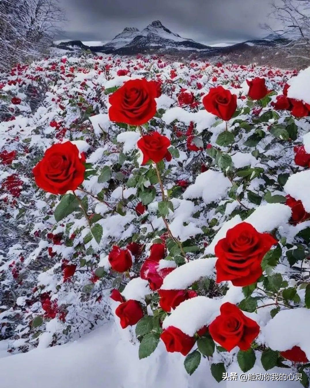 早安逗比搞笑说说,早安搞笑的句子笑死人