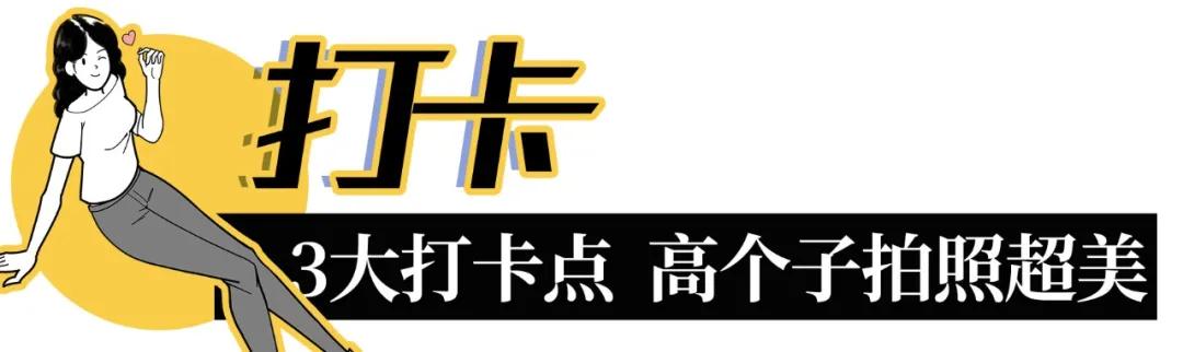 雨林打卡网红地滑梯,深圳哪里有超大型滑梯